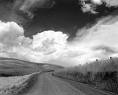 Motoring Solicitors, Road Traffic Law | Free Legal Advice |  Road Traffic Lawyers | Motoring law, image 5